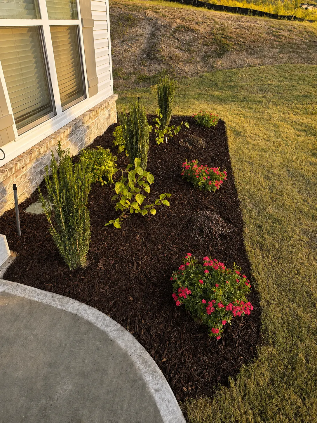 Augusta Foundation Beds